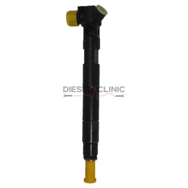 Delphi common rail-dyse